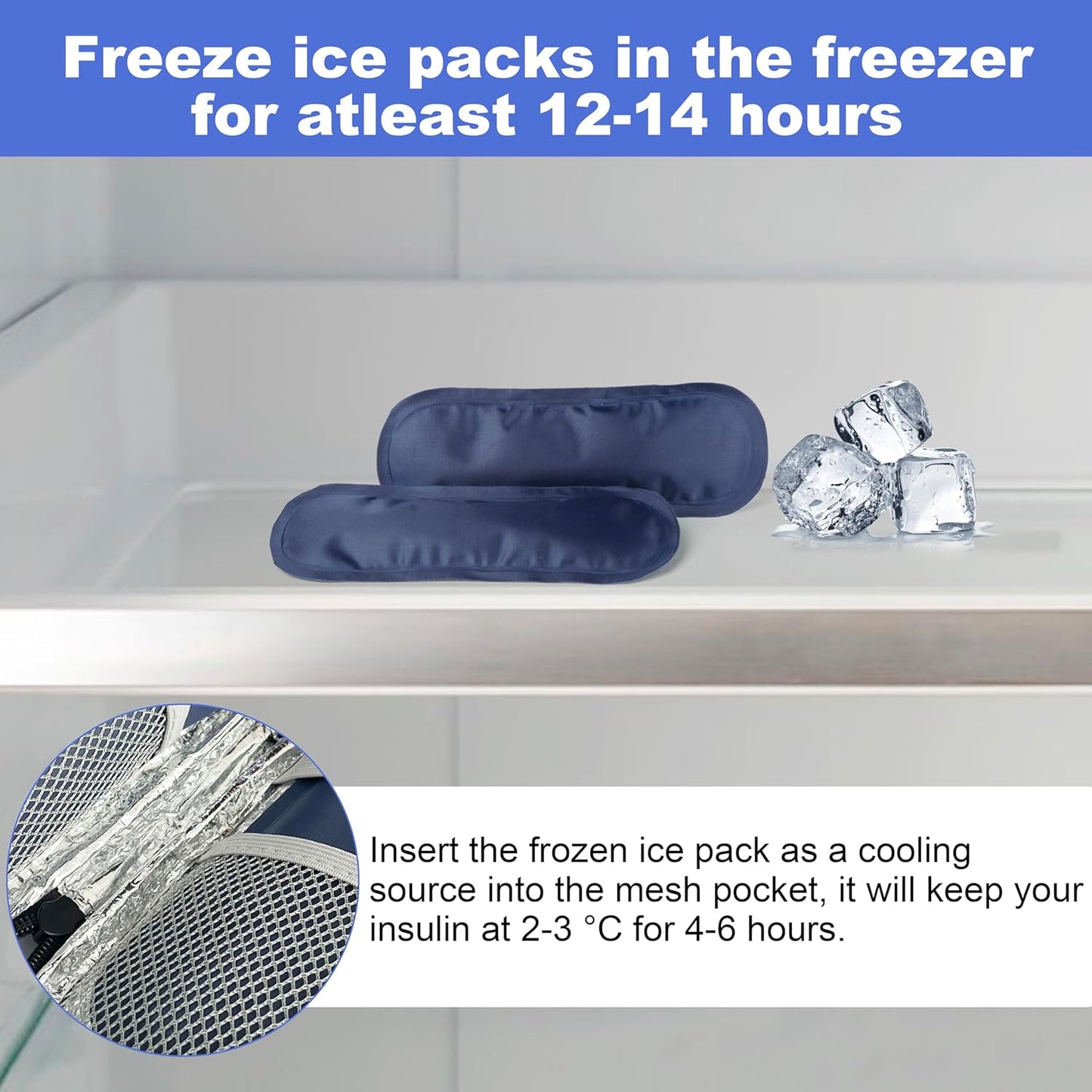 Insulated Transport Case with 2 Ice Packs