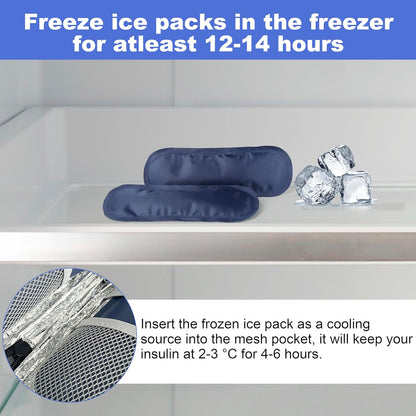 Insulated Transport Case with 2 Ice Packs